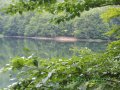 IMGP2763.JPG